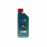 Олива моторна Magnatec Professional A5 5W30 (1 Liter)